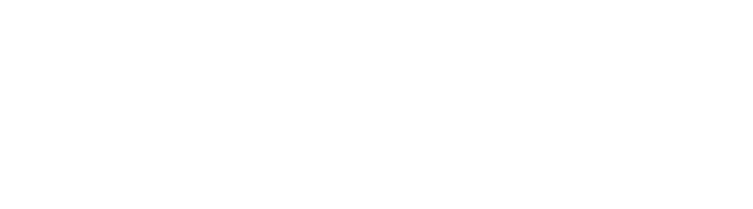 Spotline-Logo-8